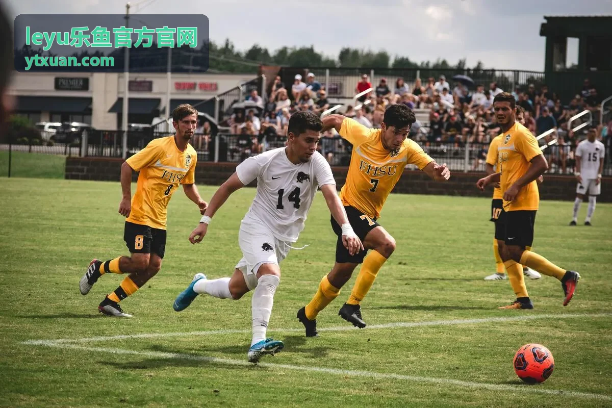 leyu乐鱼官方官网 动态资讯页面